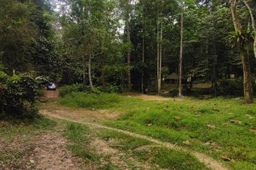 Batang Kali Malay Reservation