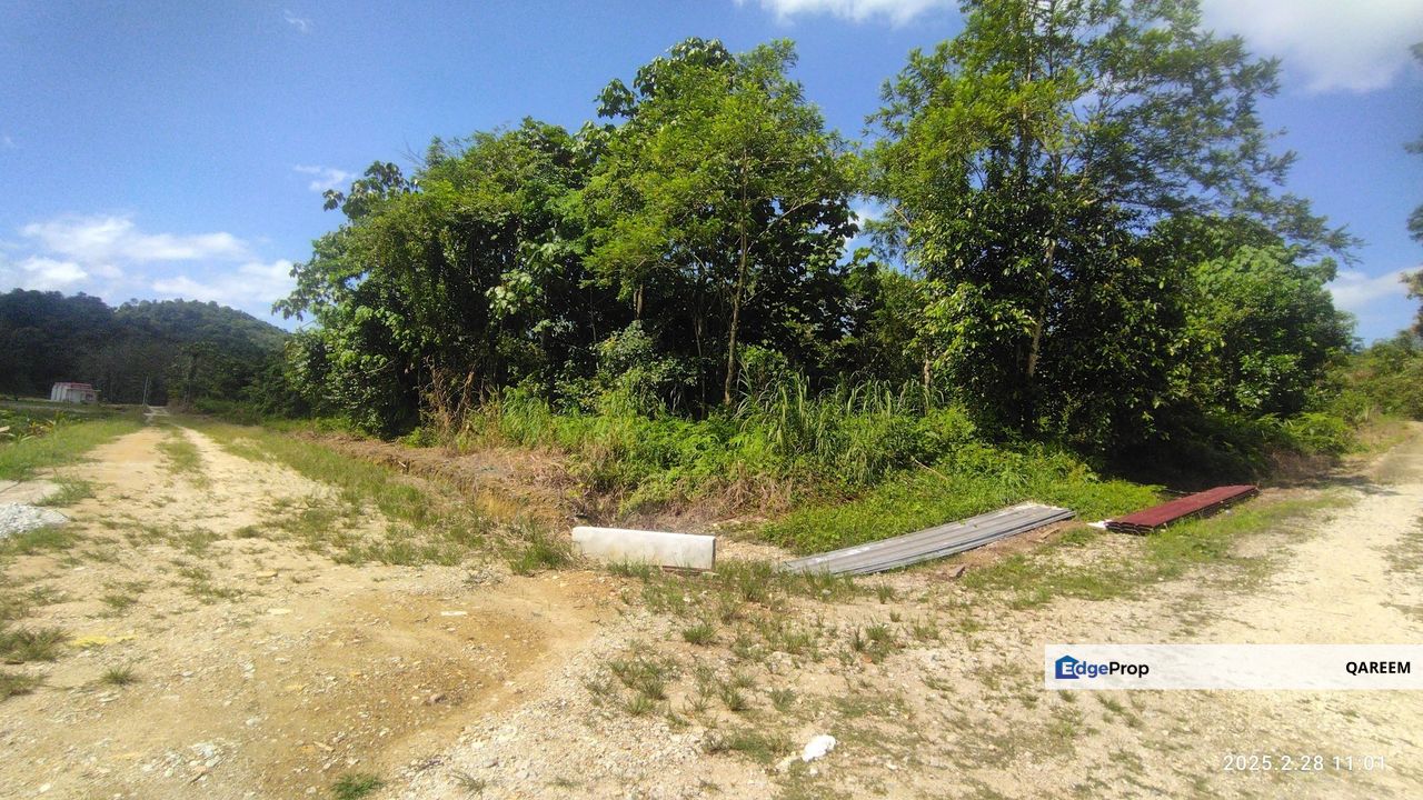 2.96 Ekar Tanah dalam Kawasan Kampung Batang Kali. Hulu Selangor, Selangor, Hulu Selangor