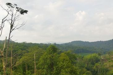 Batang Kali Malay Reservation