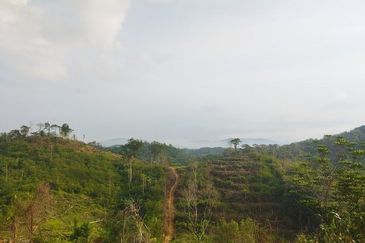 Batang Kali Malay Reservation