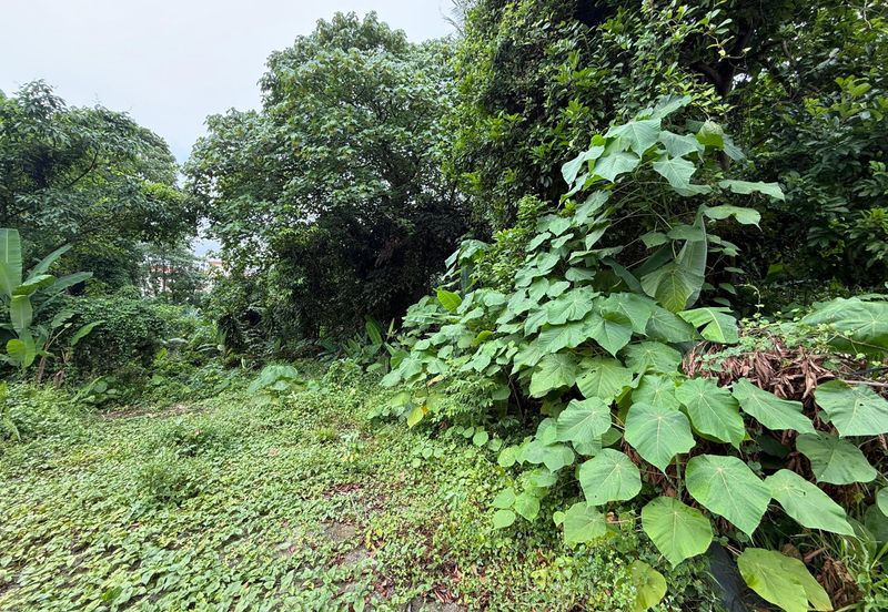 Lucky Garden (Jalan Bangsar)