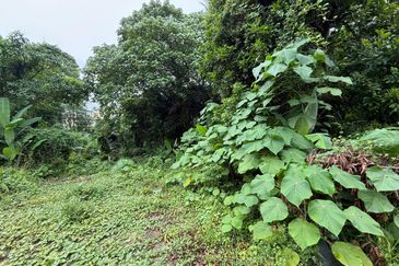 Lucky Garden (Jalan Bangsar)