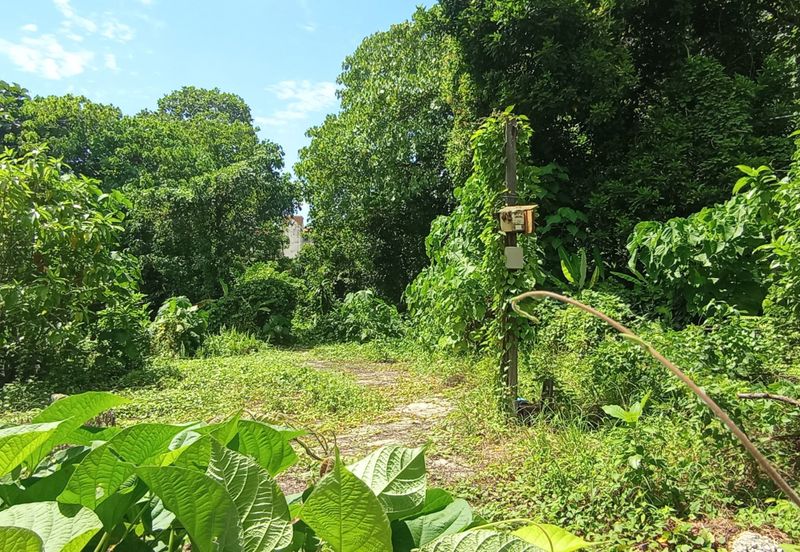 Lucky Garden (Jalan Bangsar)