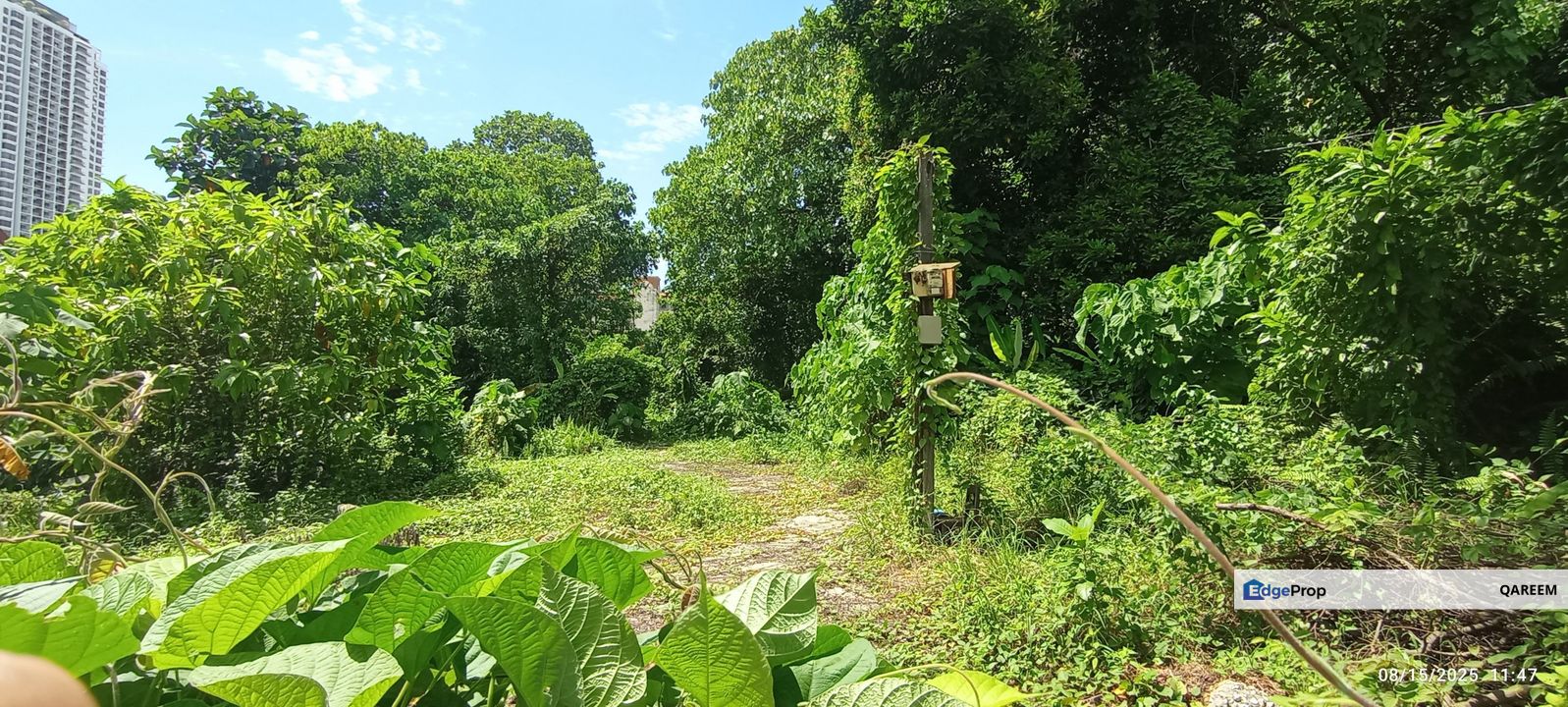 Residential Land 12500 Sft Bangsar Kuala Lumpur, Kuala Lumpur, Bangsar