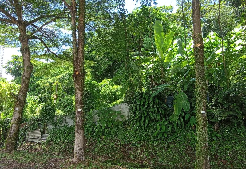 Lucky Garden (Jalan Bangsar)