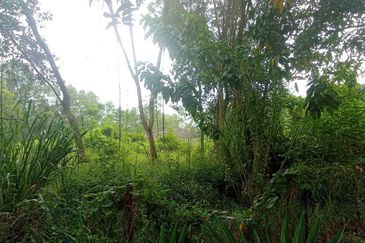 Casa Gemilang, Sungai Pusu