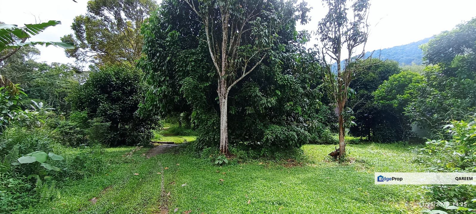 2 ekar Dusun Buahan Beserta Rumah Seni Melayu Sg Lui Hulu Langat, Selangor, Hulu Langat