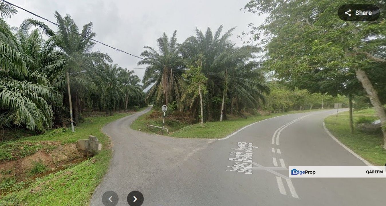 [FREEHOLD] 2.68 Ekar Ladang Kelapa Sawit Jugra Banting. Kuala Langat, Selangor, Banting