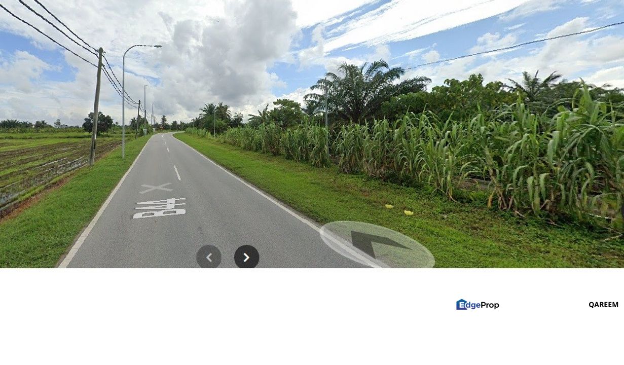 3.15 Ekar Ladang Sawit Sungai Panjang Parit 8 Sungai Besar, Selangor, Sabak Bernam