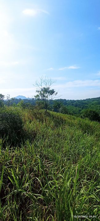 0.9 Ekar Tanah Dusun Bukit Permata Gombak Batu Caves, Selangor, Batu Caves 