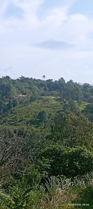 0.9 Ekar Tanah Dusun Bukit Permata Gombak Batu Caves, Selangor, Batu Caves 