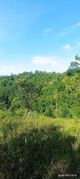 0.9 Ekar Tanah Dusun Bukit Permata Gombak Batu Caves, Selangor, Batu Caves 