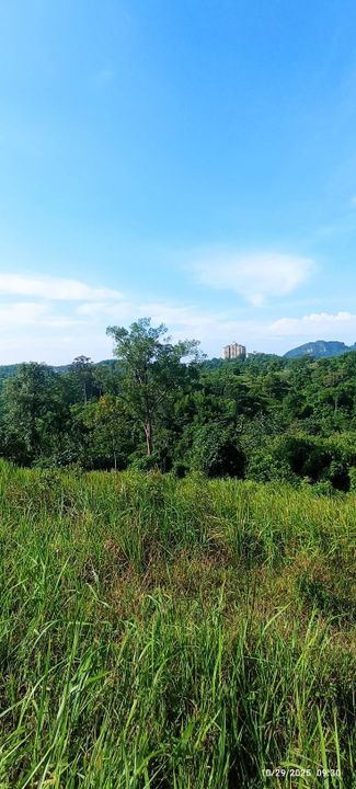 0.9 Ekar Tanah Dusun Bukit Permata Gombak Batu Caves, Selangor, Batu Caves 