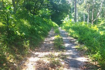 Batang Kali Malay Reservation