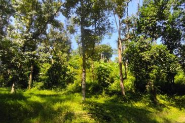 Batang Kali Malay Reservation