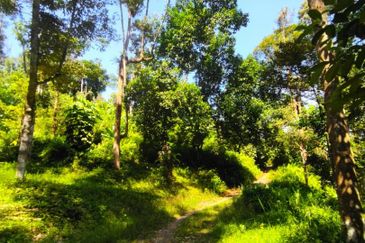 Batang Kali Malay Reservation