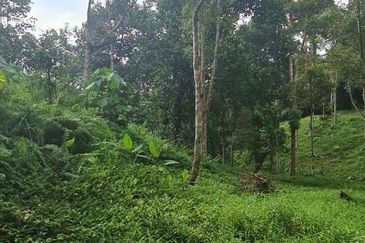 Batang Kali Malay Reservation