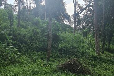 Batang Kali Malay Reservation