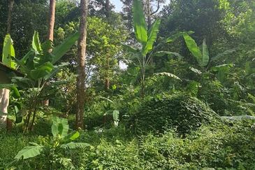 Batang Kali Malay Reservation