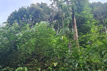 Batang Kali Malay Reservation