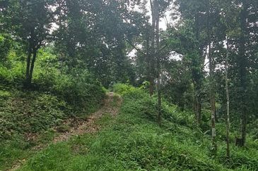 Batang Kali Malay Reservation