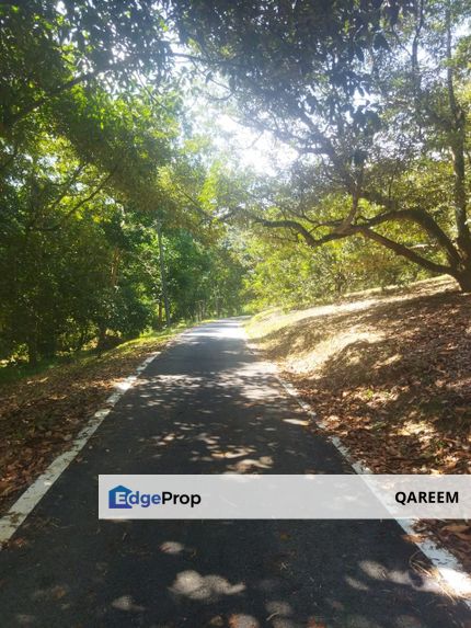 Dusun Durian Kampung 2 Ekar Ulu Tamu Batang Kali, Selangor, Hulu Selangor