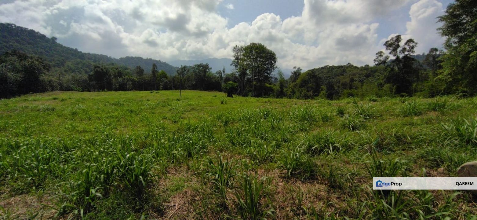 2.98 Ekar Hulu Tamu Batang Kali. Sesuai bina Rumah dan Chalet., Selangor, Hulu Selangor