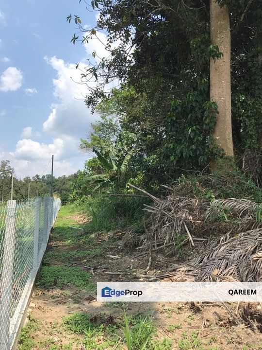 2.98 Ekar Hulu Tamu Batang Kali. Sesuai bina Rumah dan Chalet., Selangor, Hulu Selangor