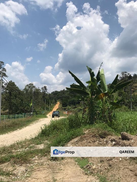 2.98 Ekar Hulu Tamu Batang Kali. Sesuai bina Rumah dan Chalet., Selangor, Hulu Selangor