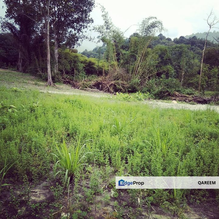 2.98 Ekar Hulu Tamu Batang Kali. Sesuai bina Rumah dan Chalet., Selangor, Hulu Selangor