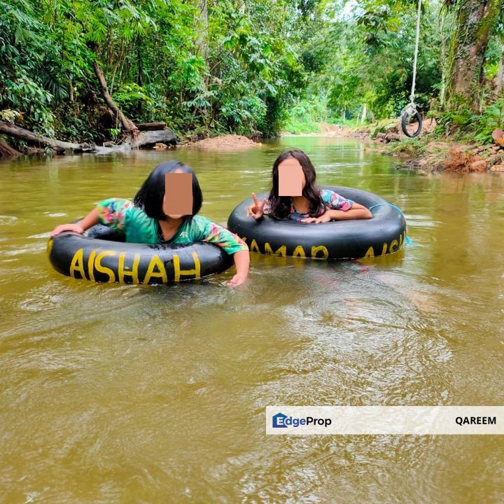 [Dusun dan Sungai] 2.9 Ekar Janda Baik Bentong Pahang., Pahang, Bentong