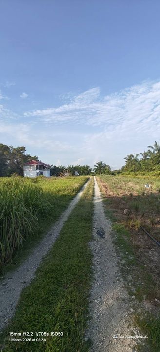 1 Ekar Ladang Sawit Kg Api Api Bukit Rotan Kuala Selangor, Selangor, Kuala Selangor