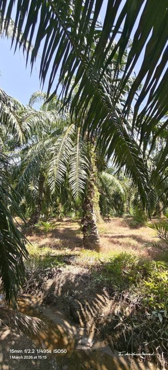 1 Ekar Tanah Kampung Sungai Burong Sekinchan, Kuala Selangor, Selangor, Sekinchan