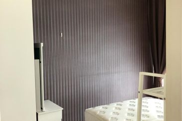 Tropicana City Tropics