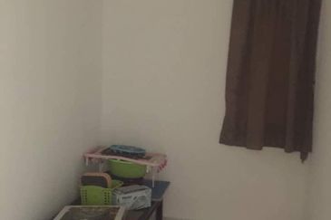 Tropicana City Tropics