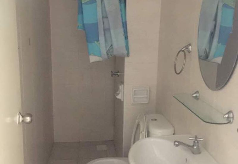 Tropicana City Tropics