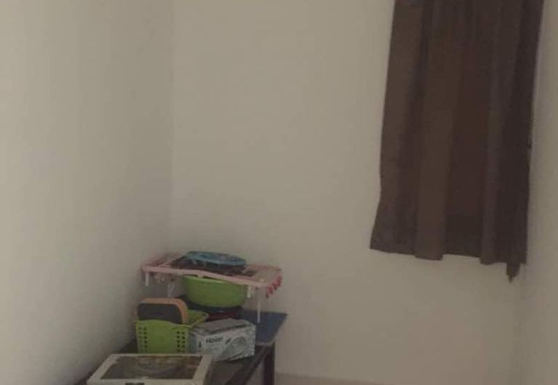 Tropicana City Tropics