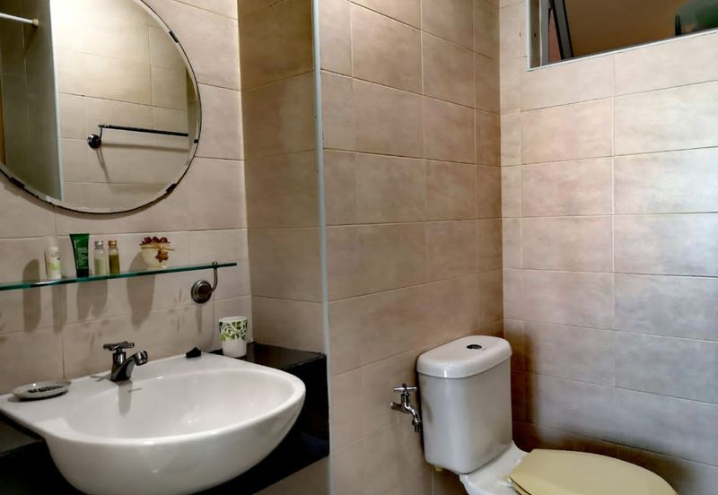 Tropicana City Tropics