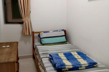 Tropicana City Tropics