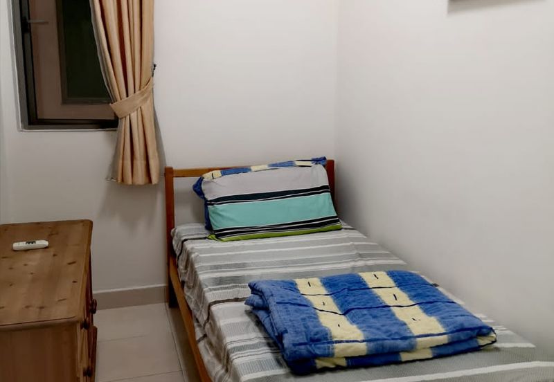 Tropicana City Tropics