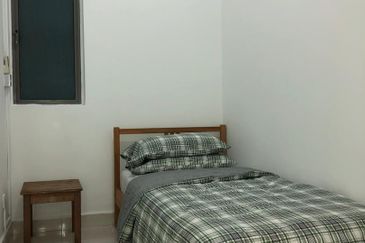 Tropicana City Tropics