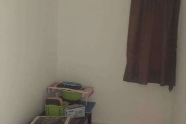 Tropicana City Tropics