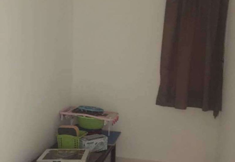 Tropicana City Tropics