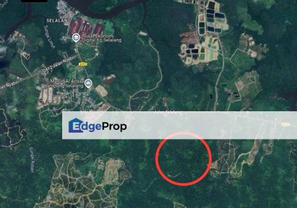 Native Agriculture Land for sale At Jalan Selalang Sarikei, Sarawak, Sarikei