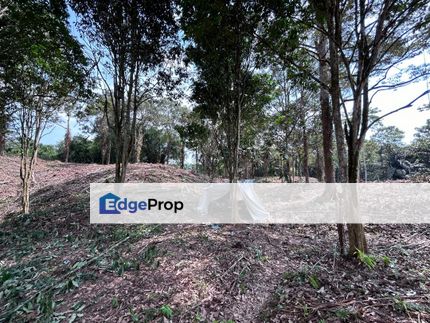 Durian Orchard Land For Sale! Located at Kampung Rituh, off 24th Mile Kuching Serian Road , Sarawak, Serian