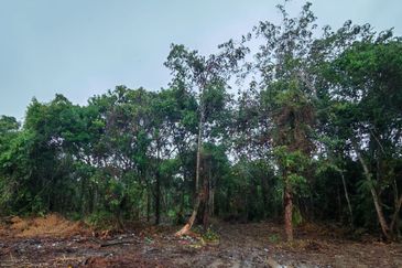 Land For Sale! Located at Sin San Tu