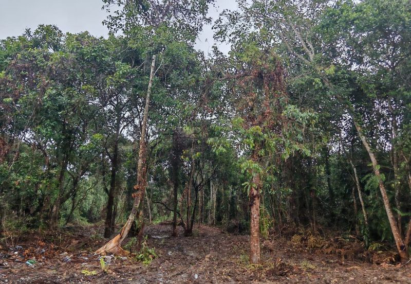 Land For Sale! Located at Sin San Tu