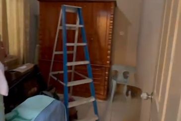 Single Storey Terrace Intermediate for Rent! Located at Taman Suria (Muara Tuang)