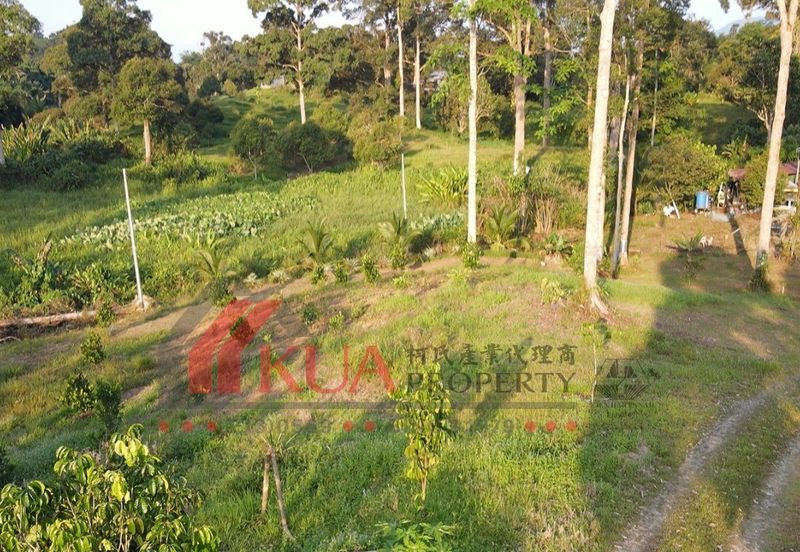 Agriculture Land For Sale! Located at Serian