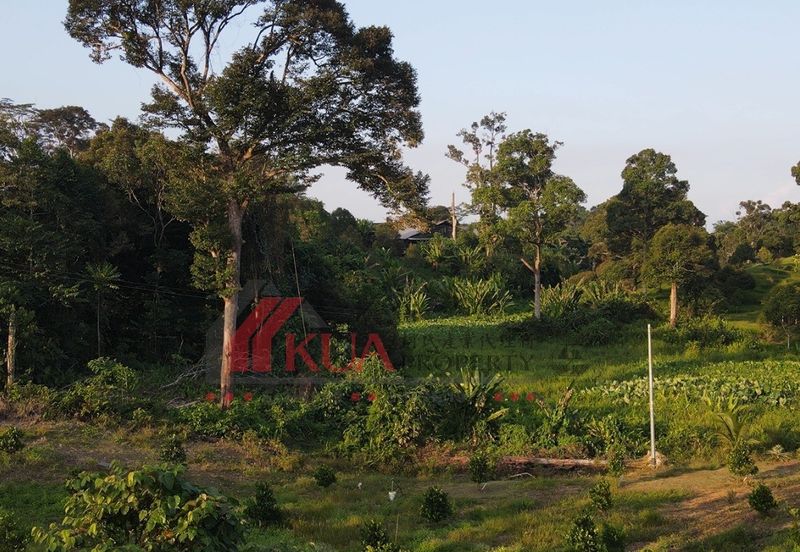 Agriculture Land For Sale! Located at Serian